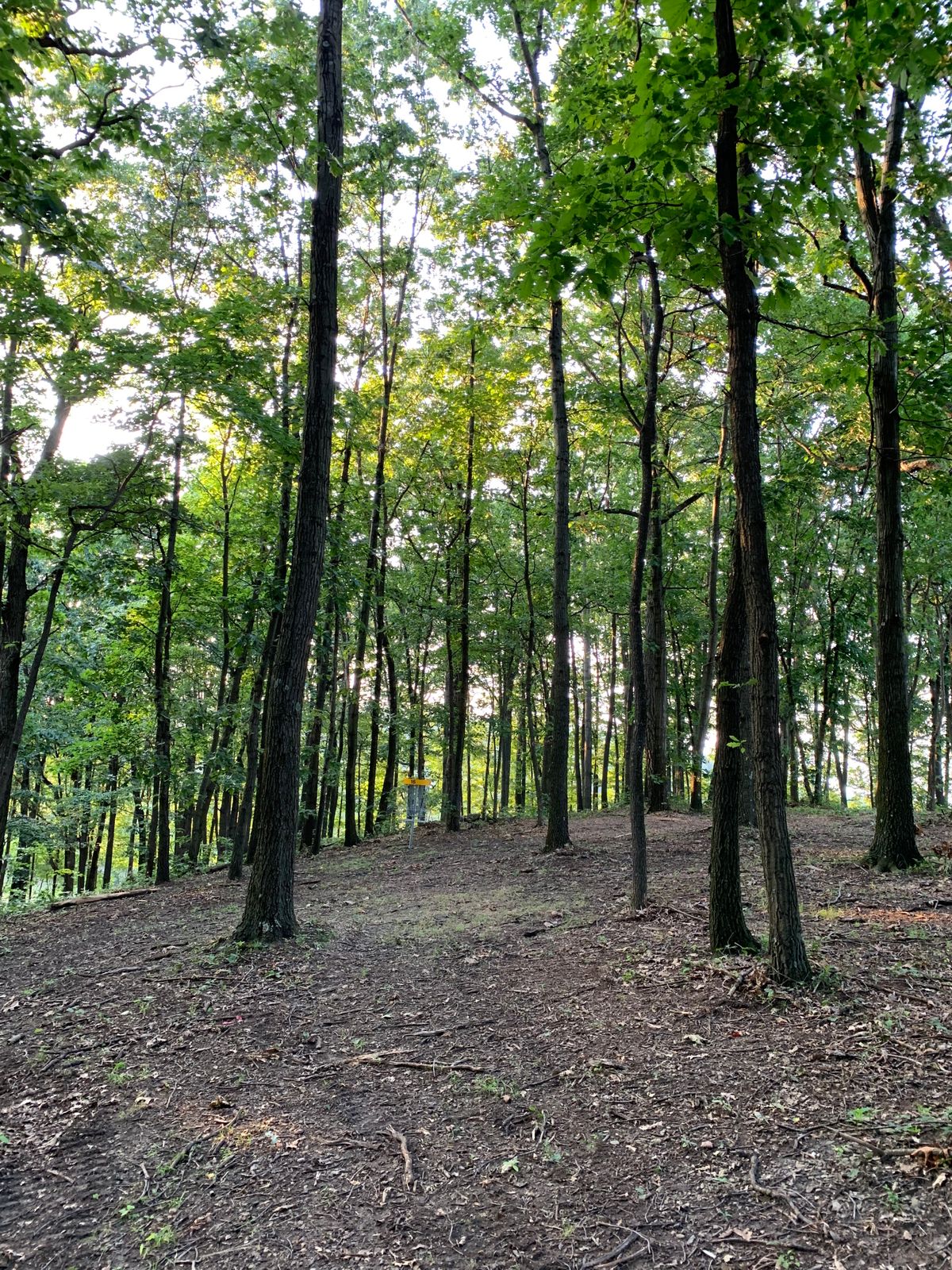 Hole 16 approach shot