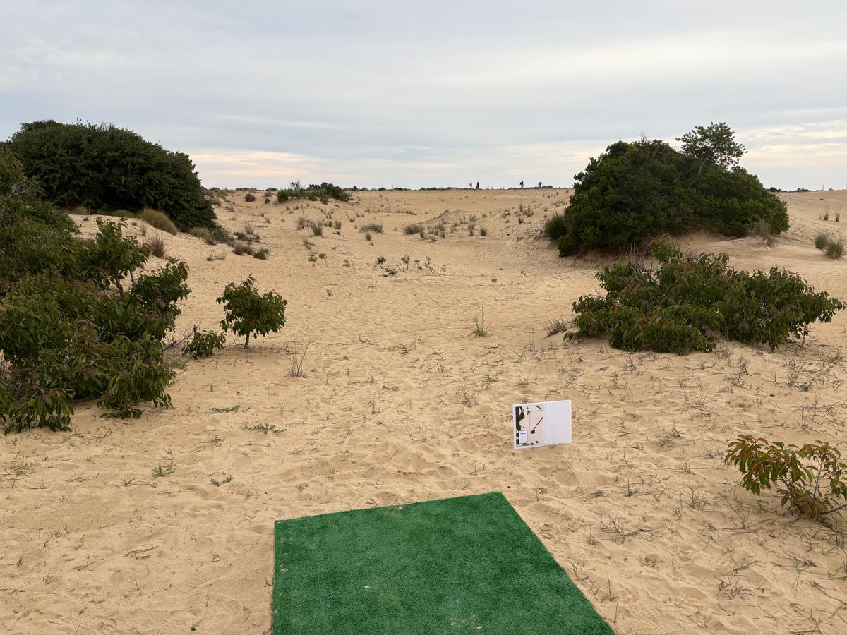 Hole 14 tee