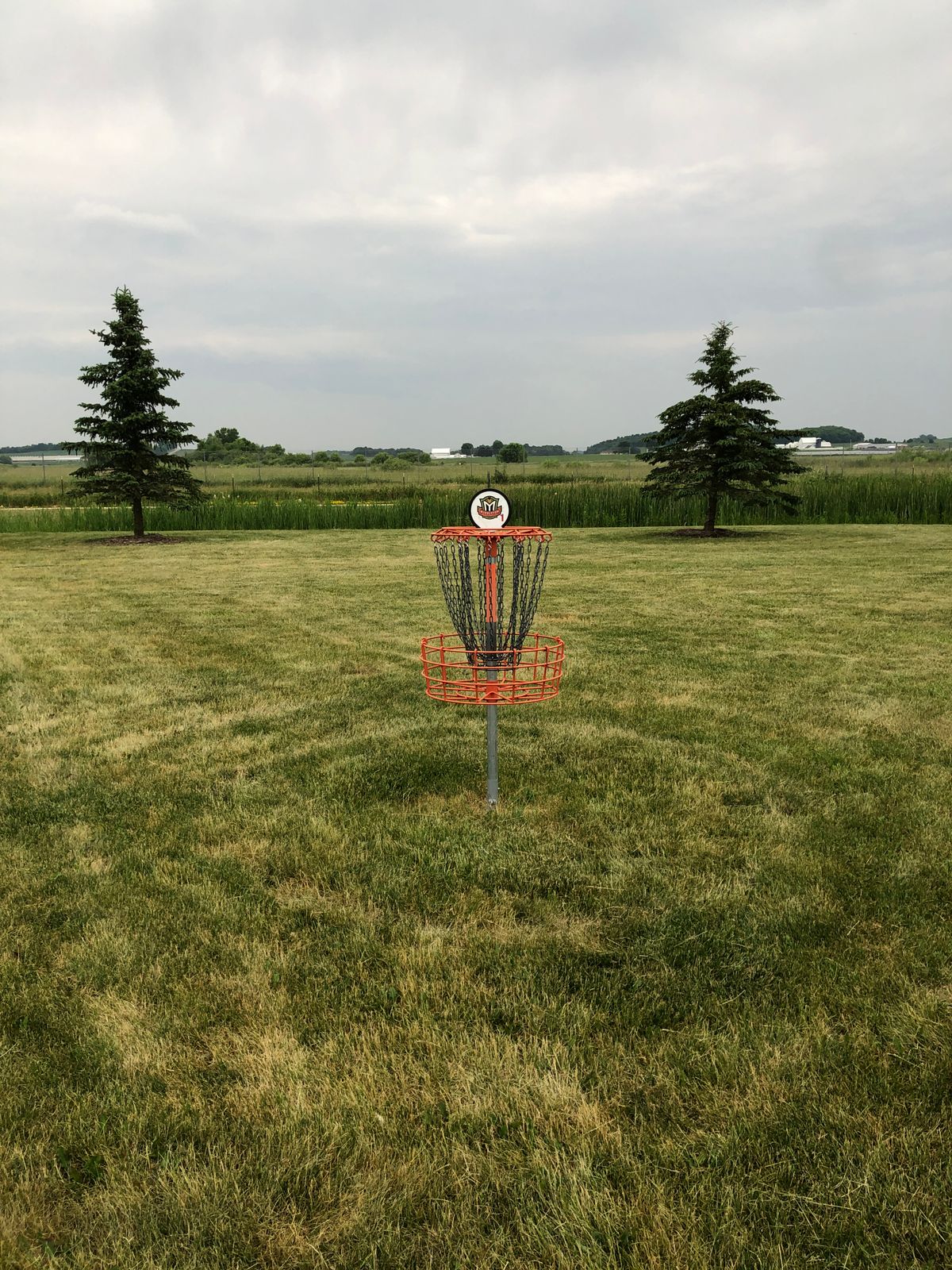 Basket for hole 1