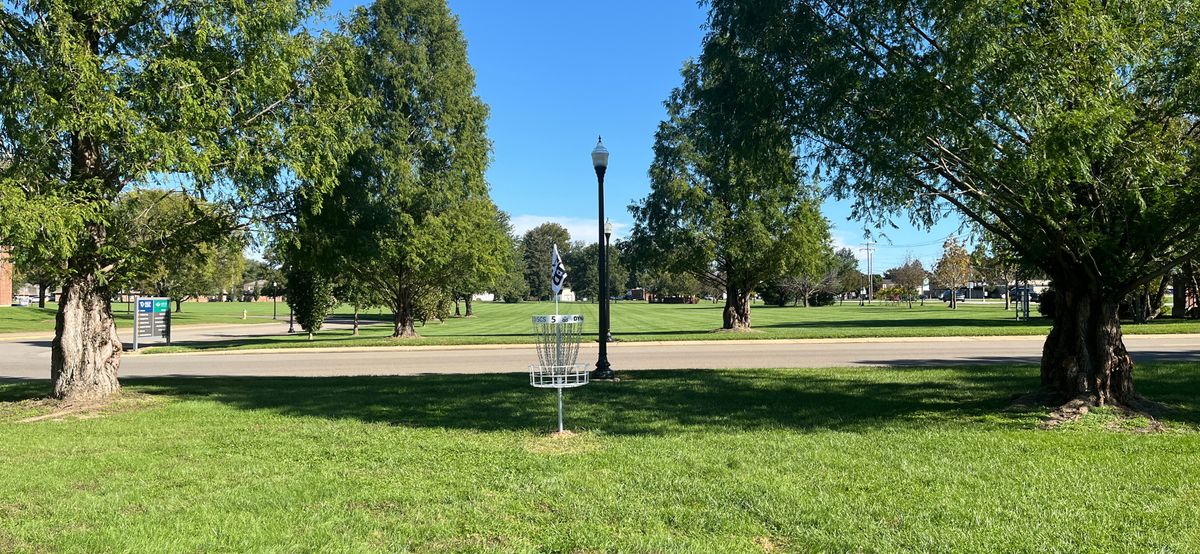 Hole 5 basket