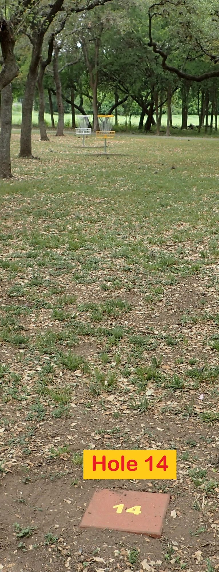 Hole 14