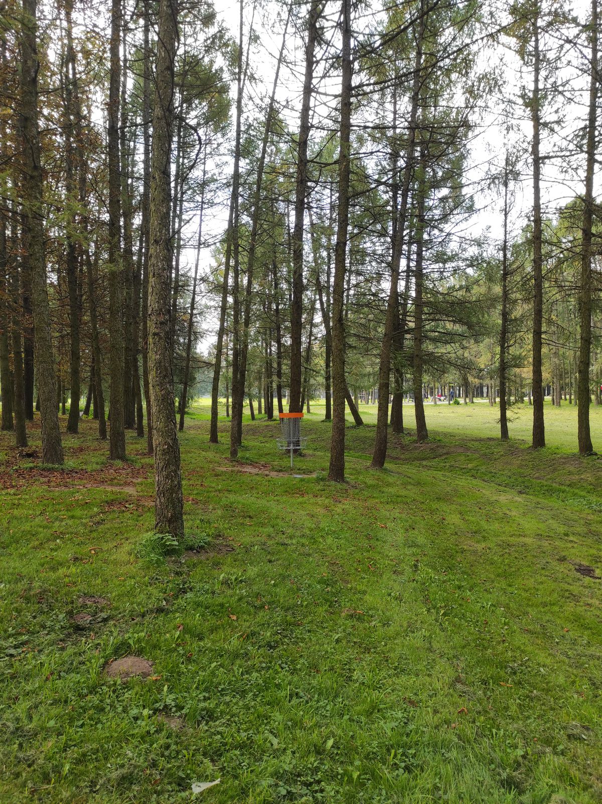 #3 Green