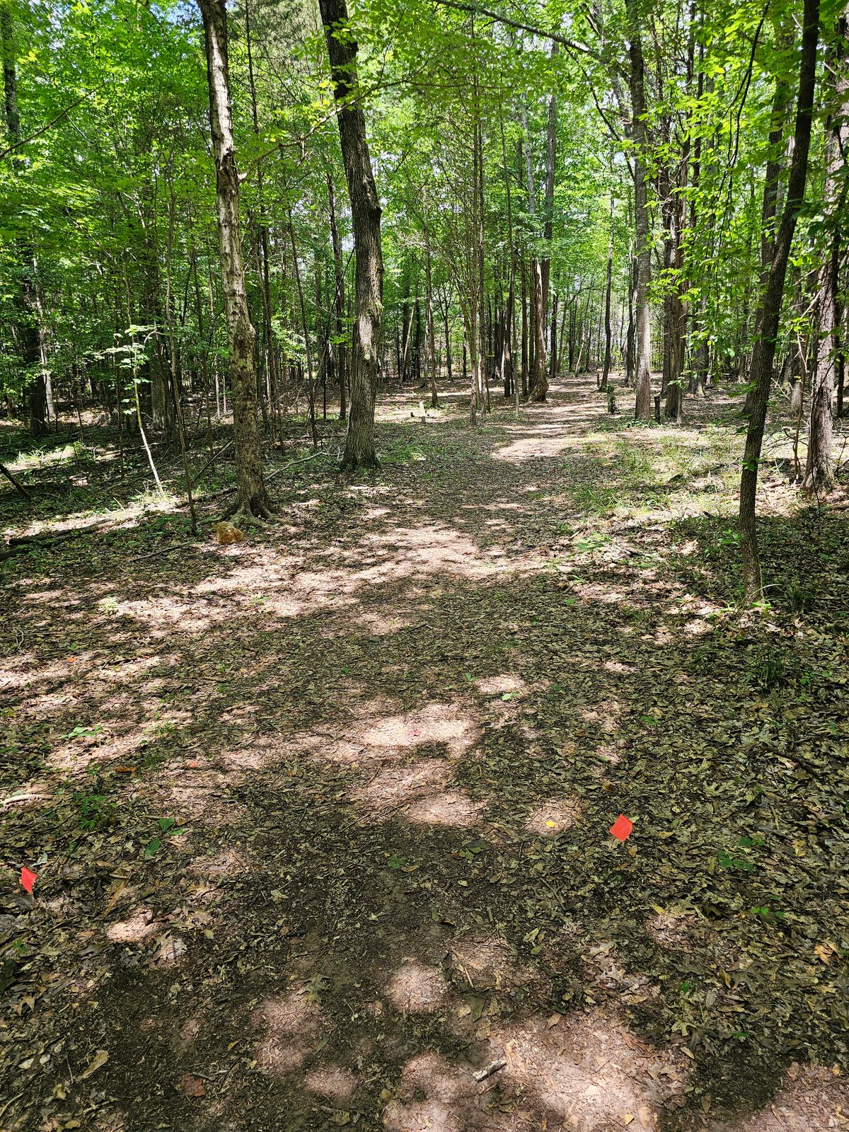 Hole 9