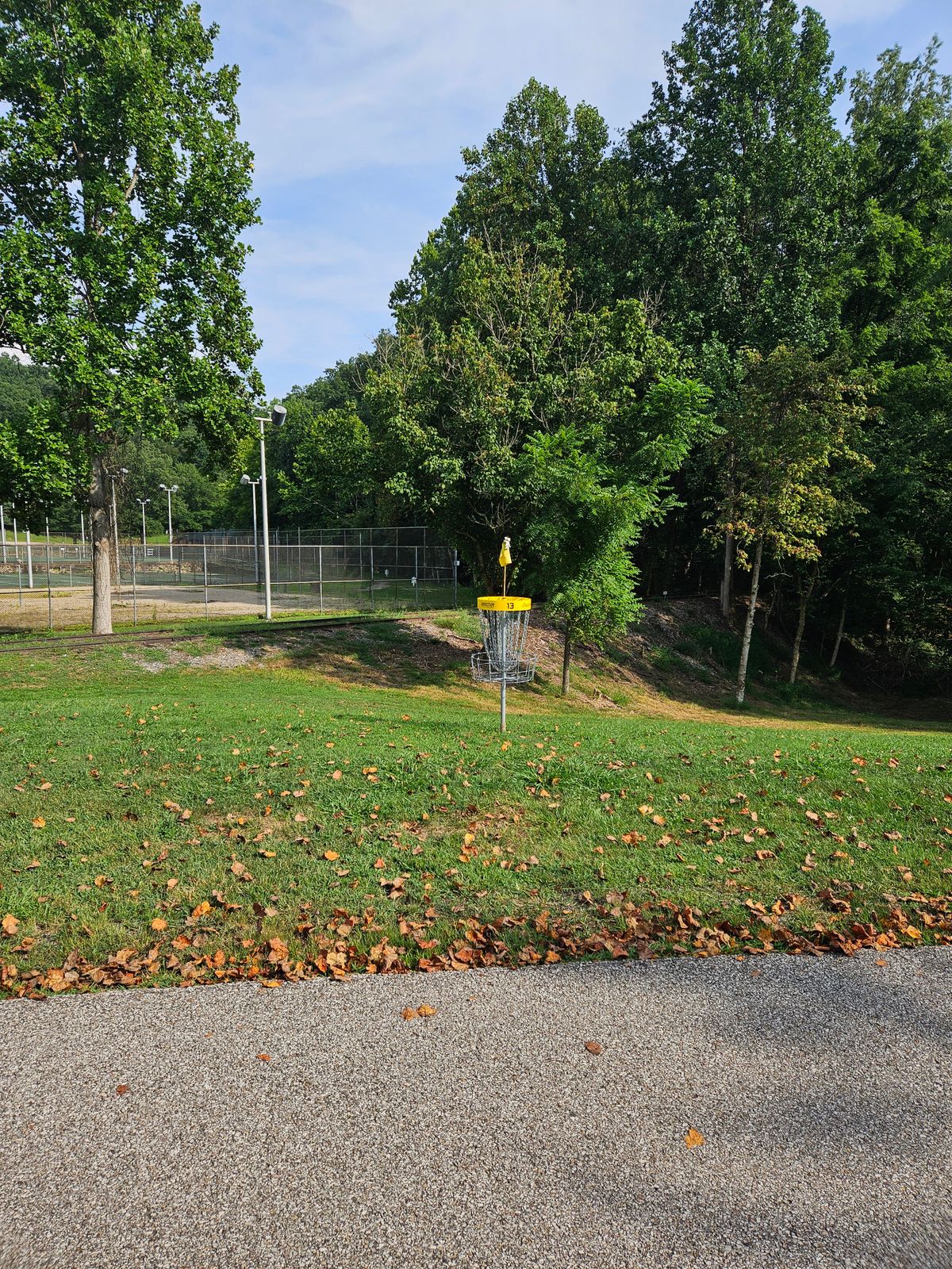 Hole 13 Short Basket. Looking toward Teepads. Note: On or Accross Road is OB.