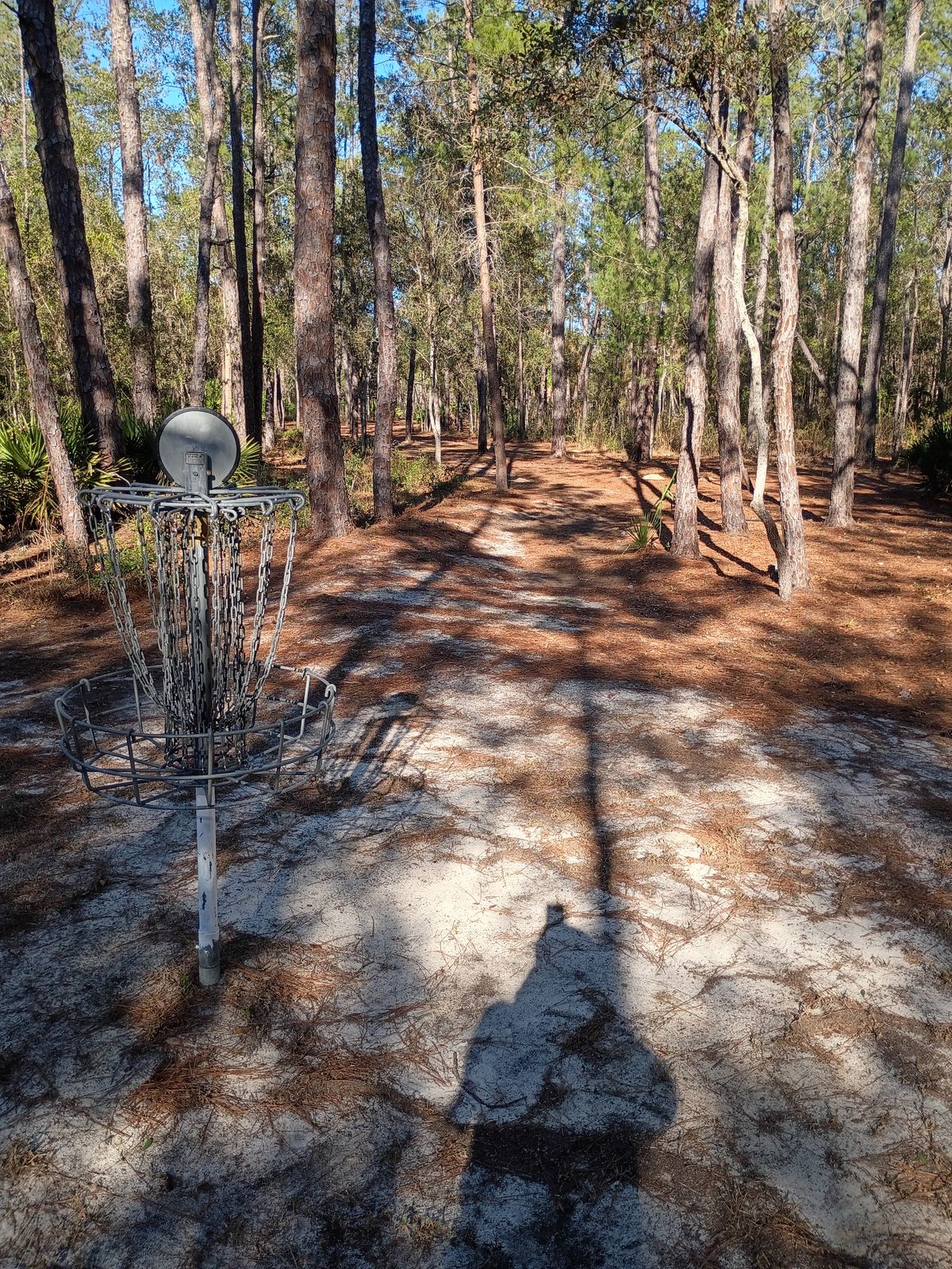 Hole 1 long basket looking back towards tee