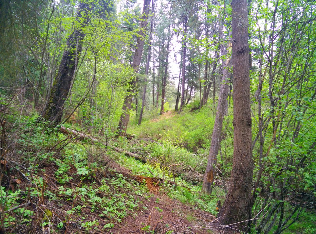 Hole 8