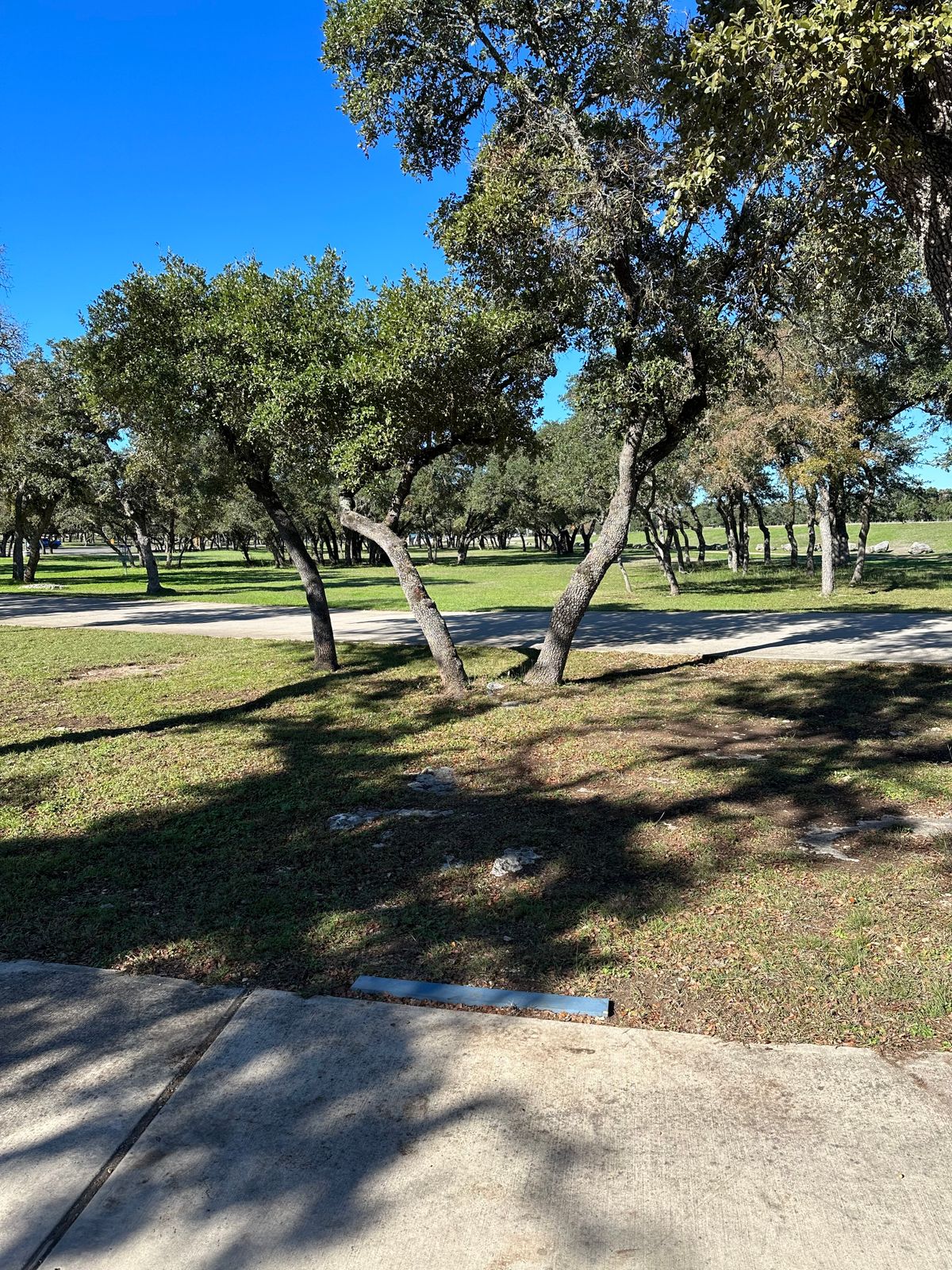 Tee of 18 long. The only concrete pad on the course when I played on 11/24/23.
