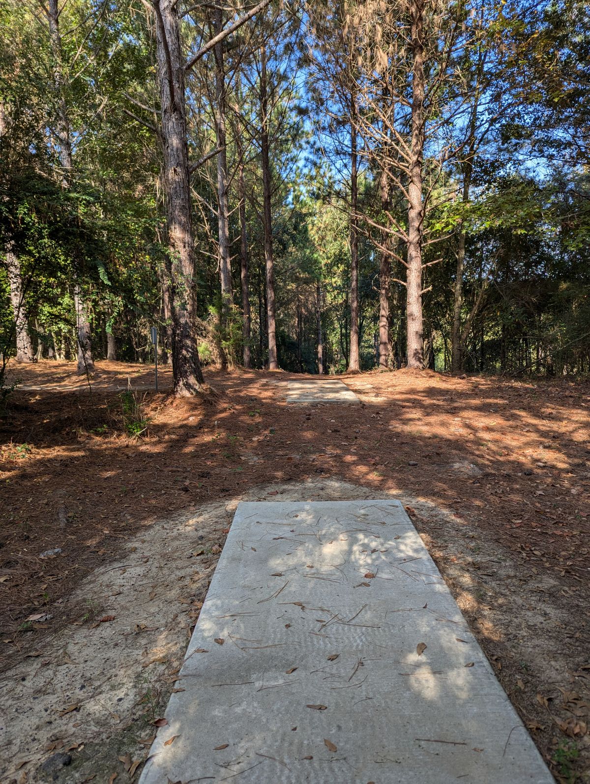 Hole 12 ahead with a drop off behind it