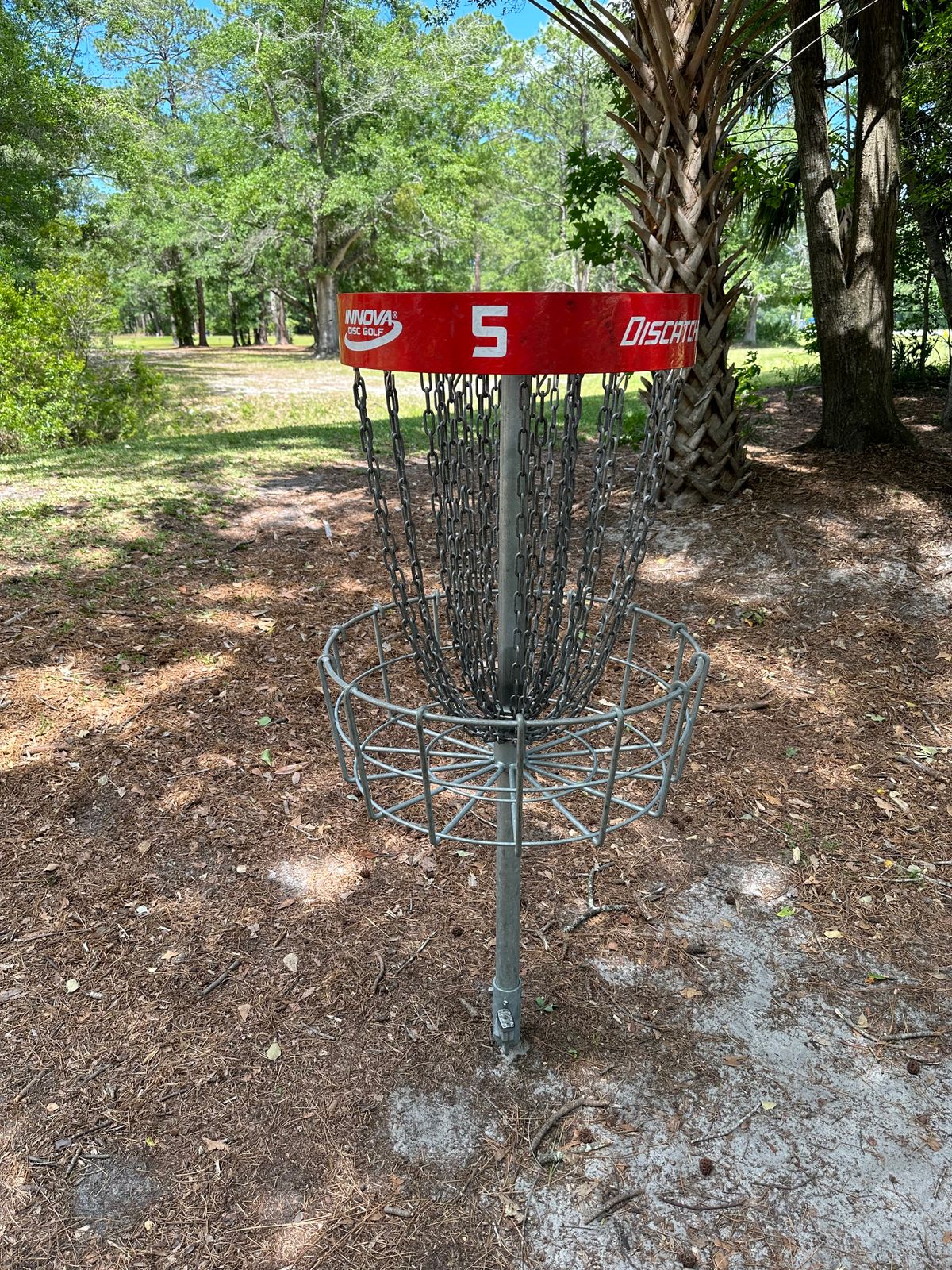 Hole 5 basket