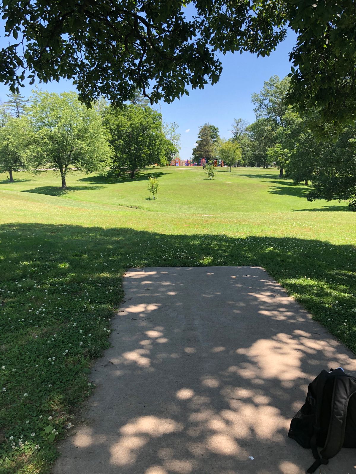 Hole 13: Tee Box