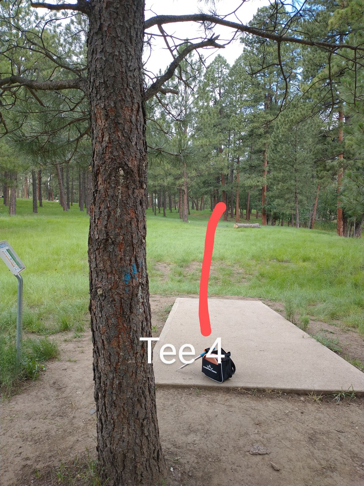 Tee 4