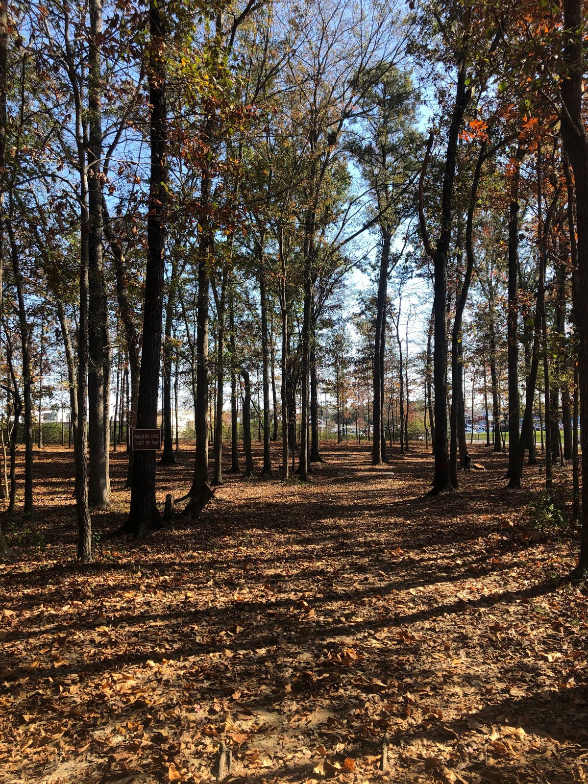 Hole 1