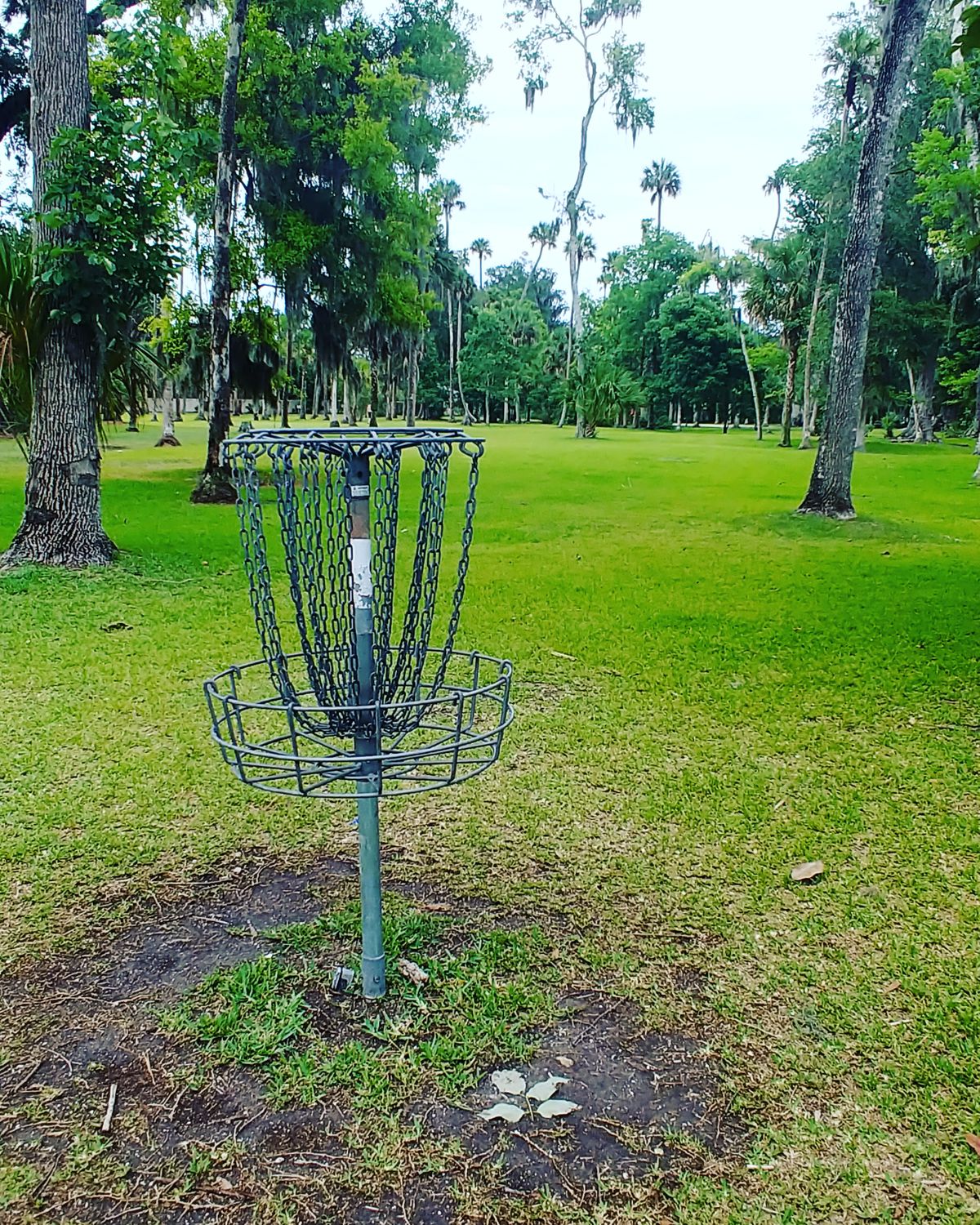 12th pin