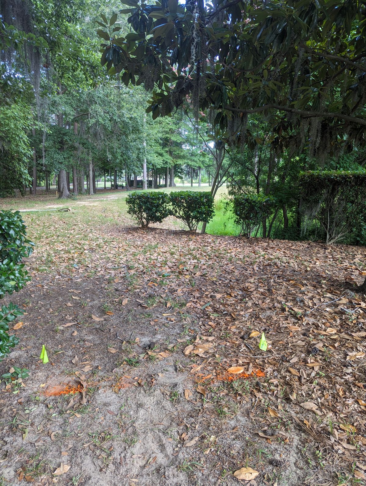 Hole 6