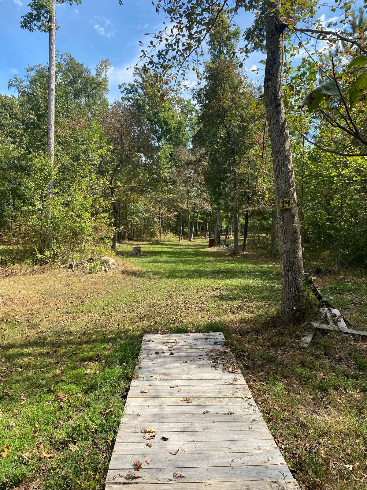 Hole 14 tee pad