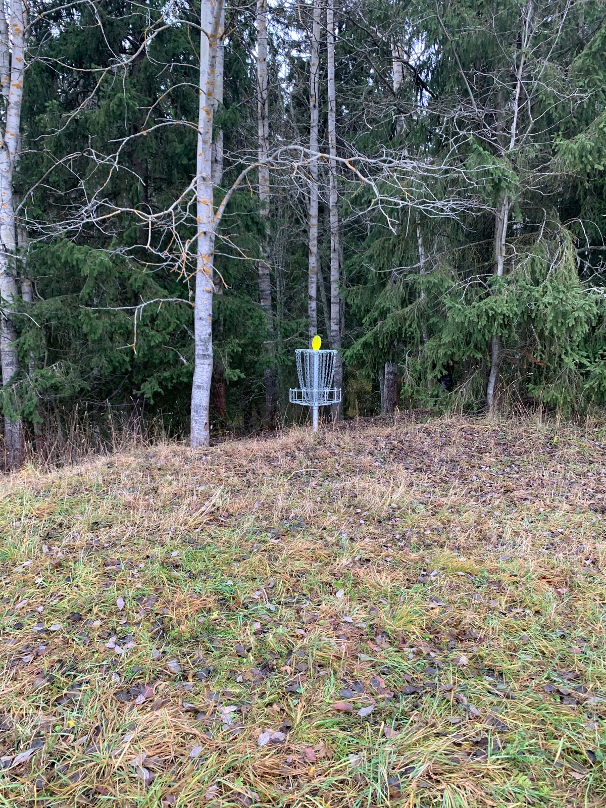 Hål 8s korg.