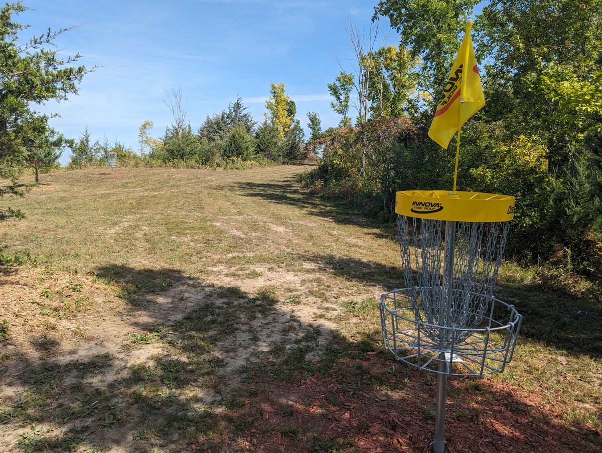 Long Basket looking back at the fairway