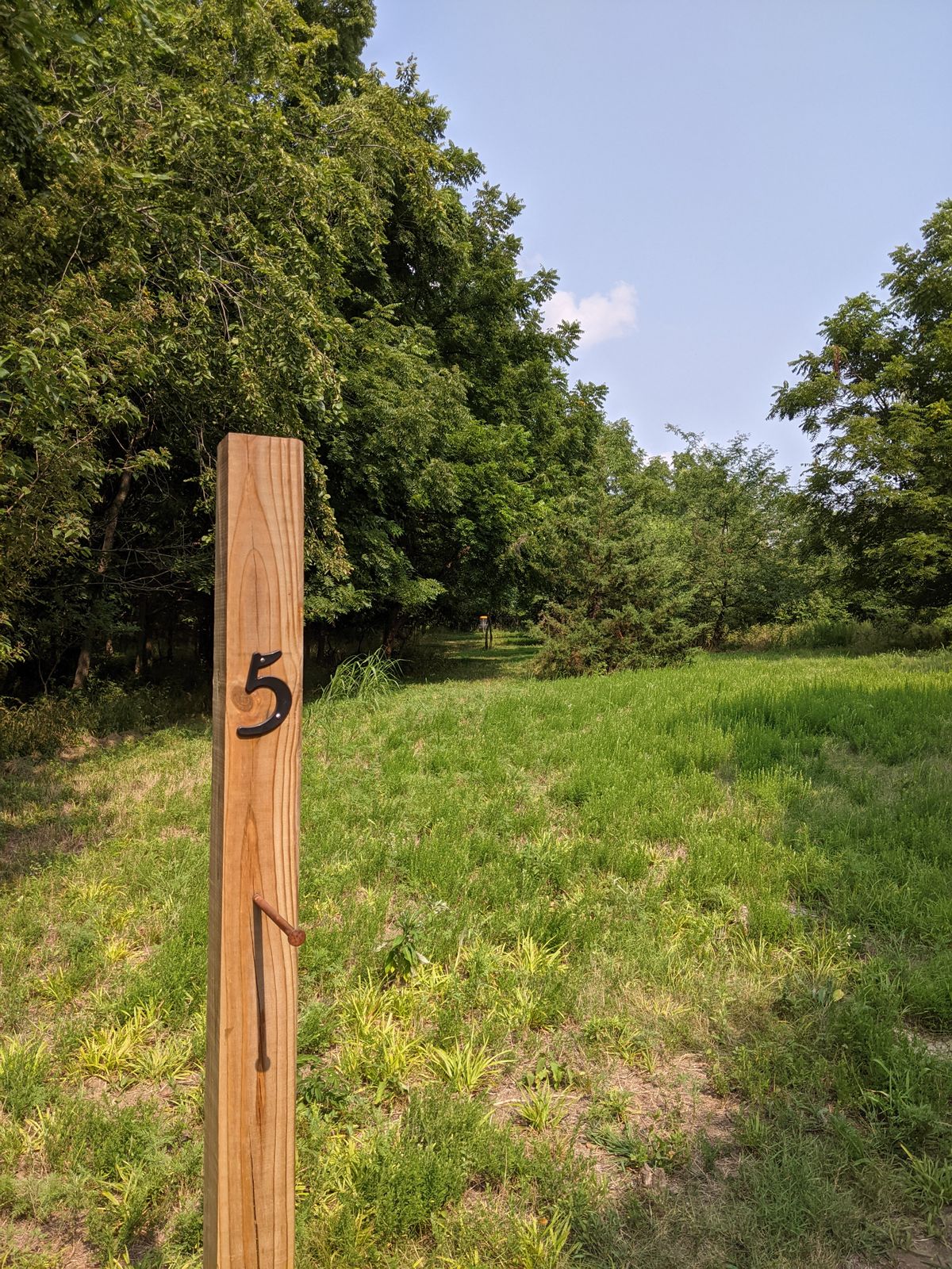 Tee 5