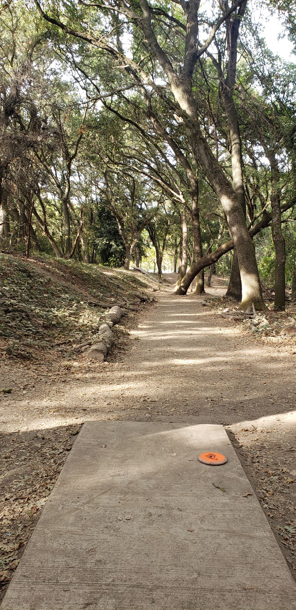 Hole 7. 280' straight through the trees.