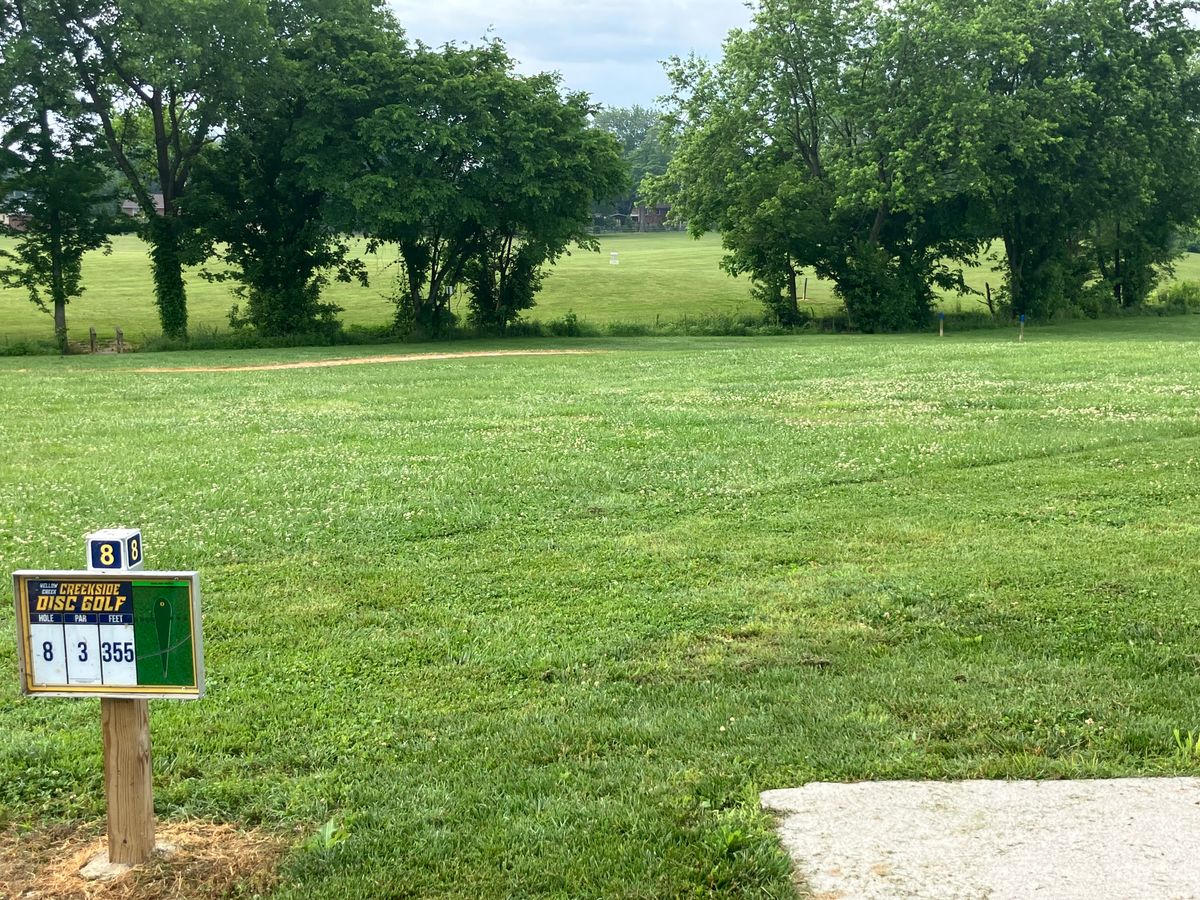 Hole 8 350ft through the gap. Creek plays OB.