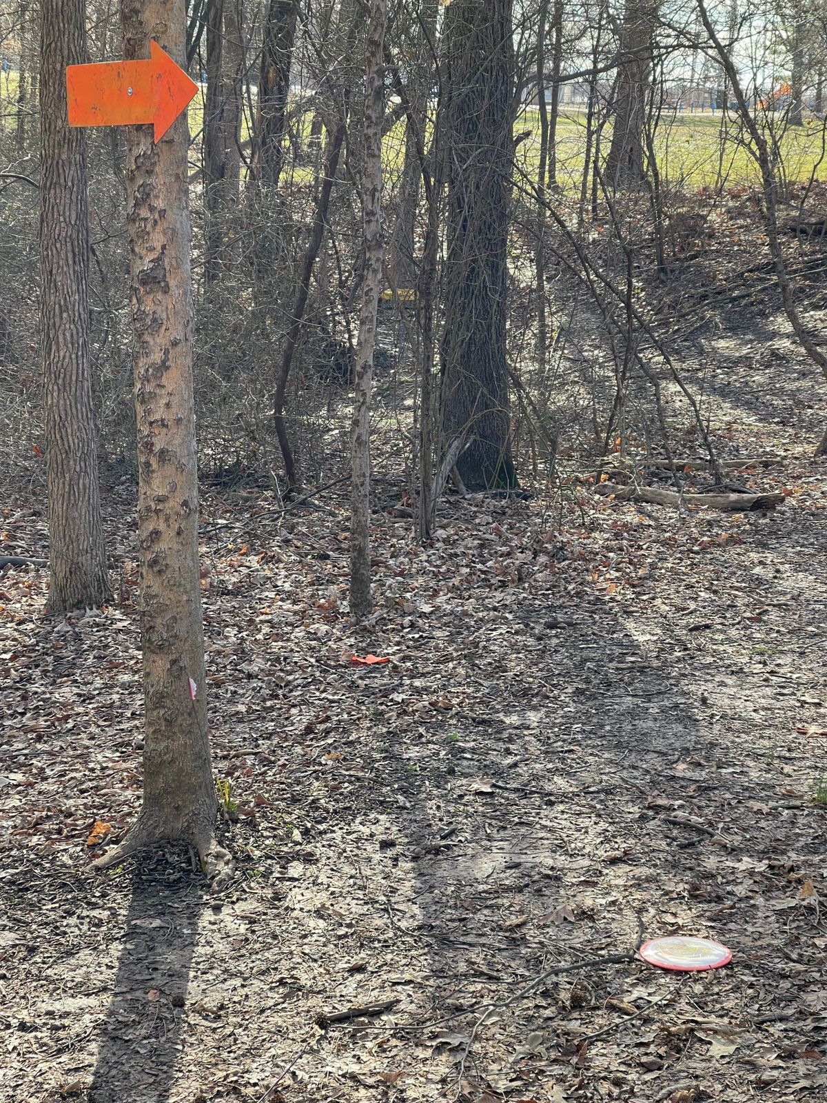 Mando to basket of dogleg hole 13
