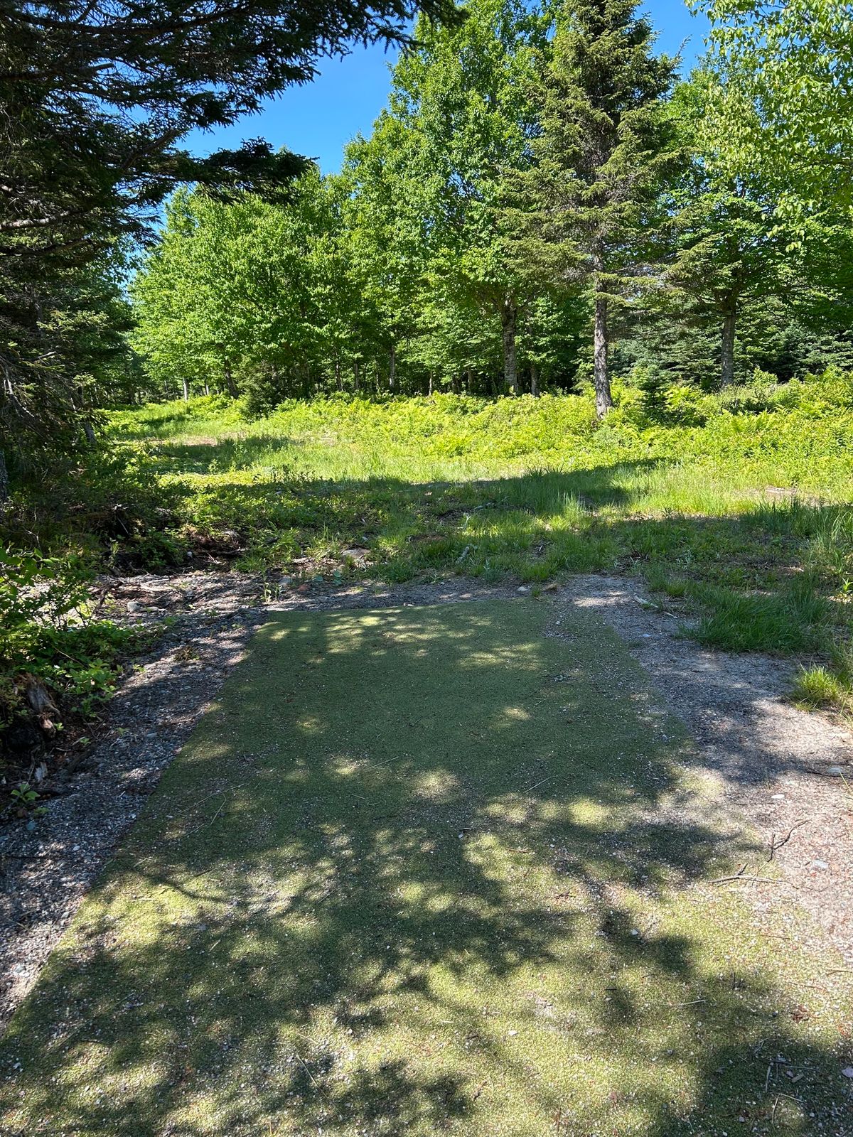 12 white fairway.