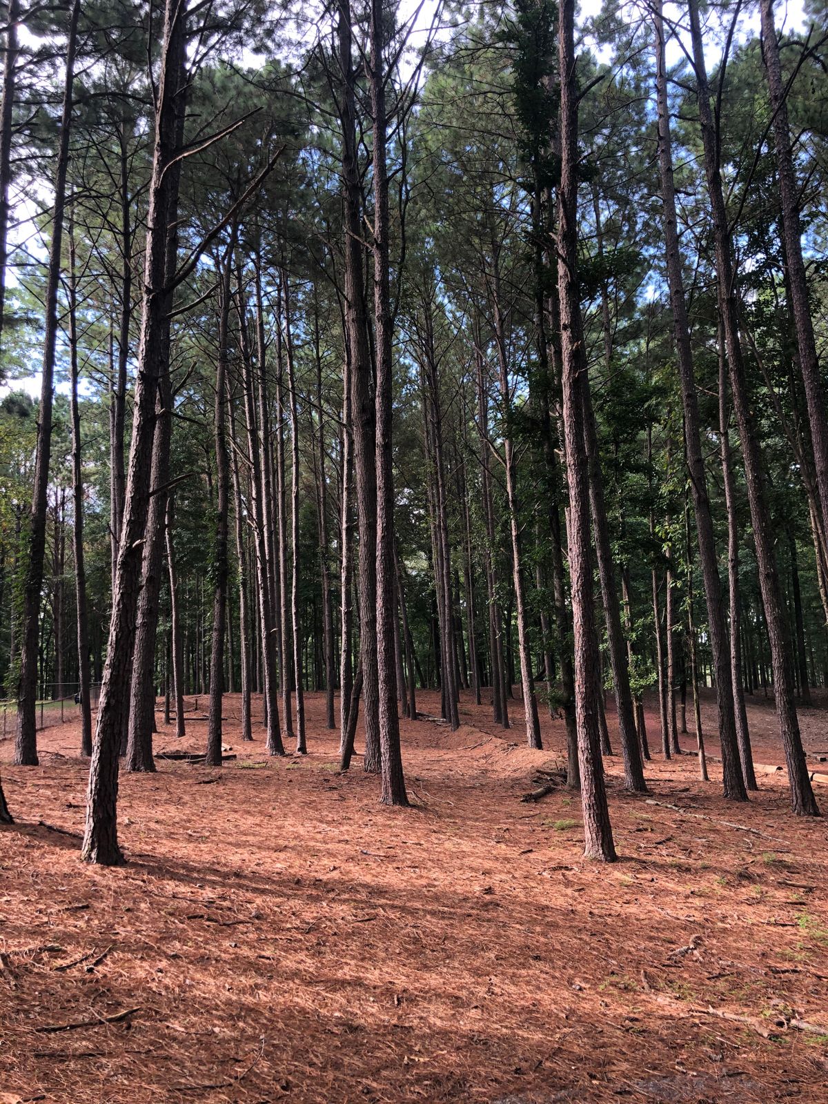 Hole 10