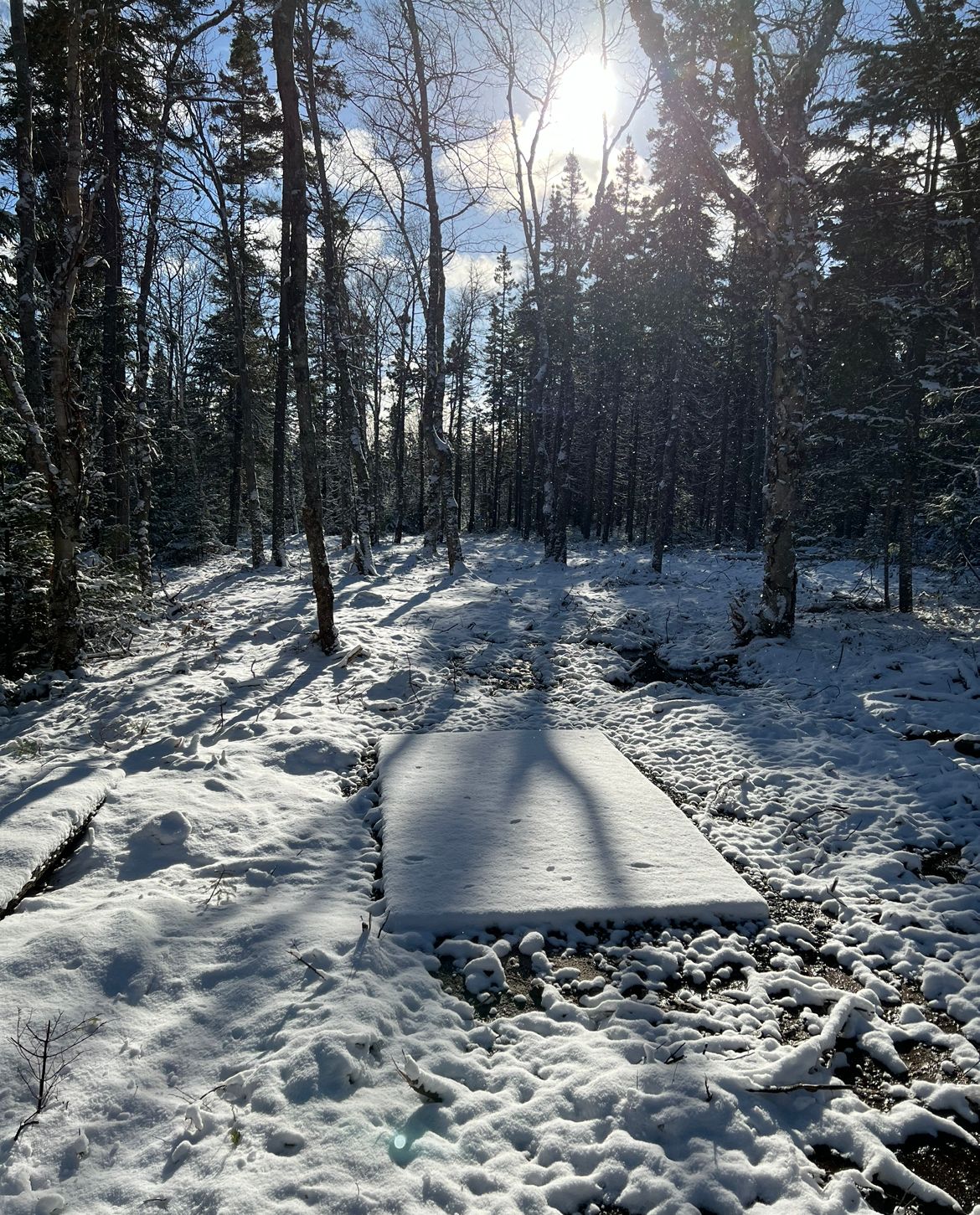 Picturesque tee box