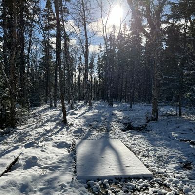 Picturesque tee box