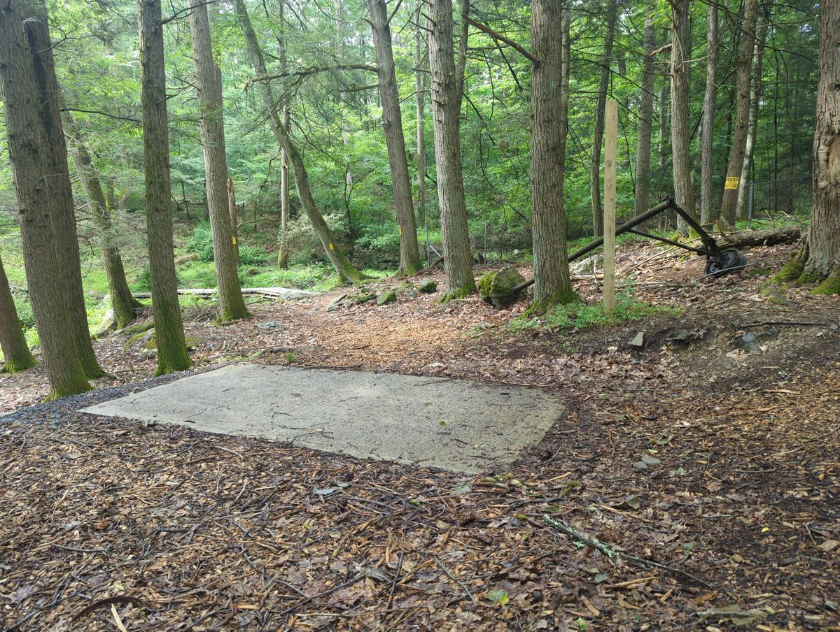 Hole 1 - 280'