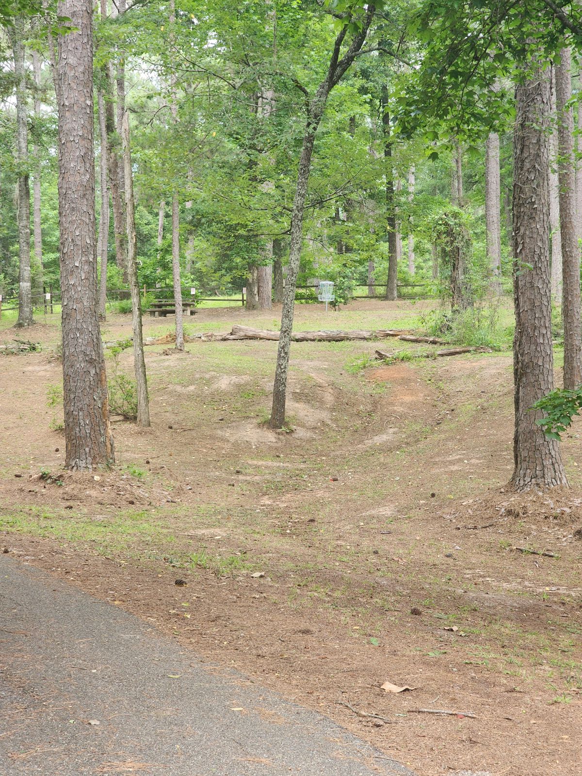 Hole 11 fairway up the edge of the hill