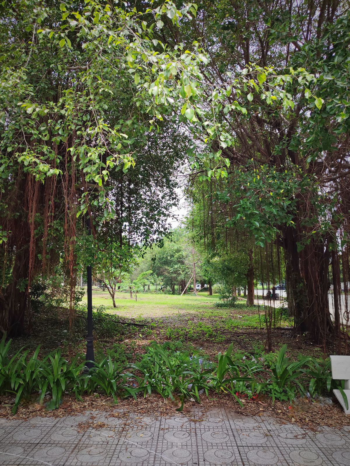 Hole 2 Tee - Nine in the Park