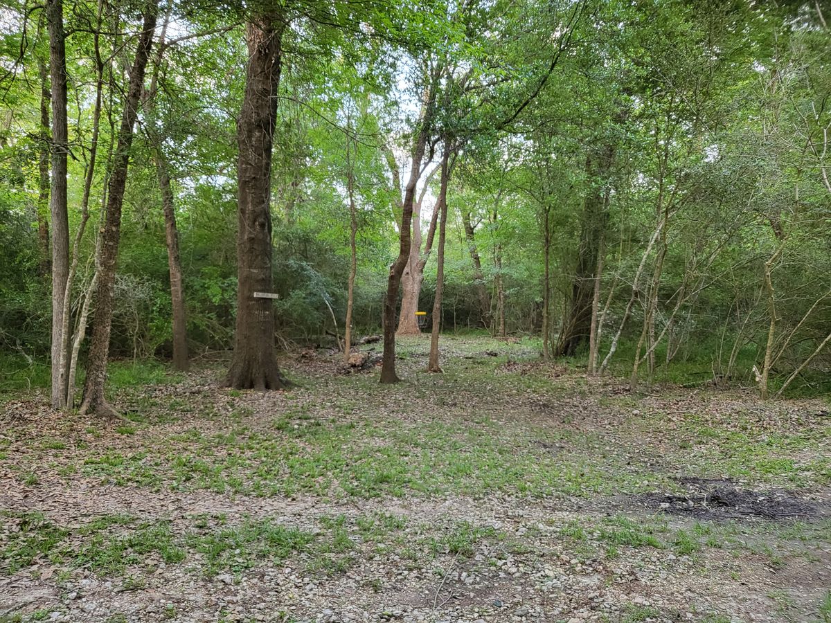 Hole 13 long position