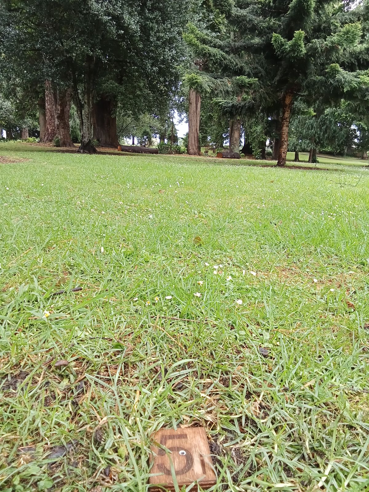 Intermediate