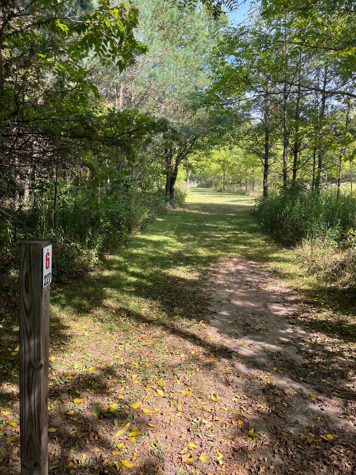 Hole 6 from tee