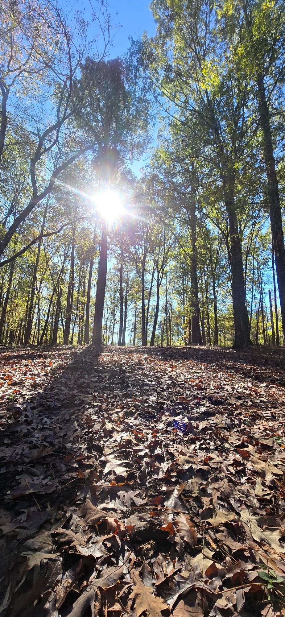 Hole 3 fairway
