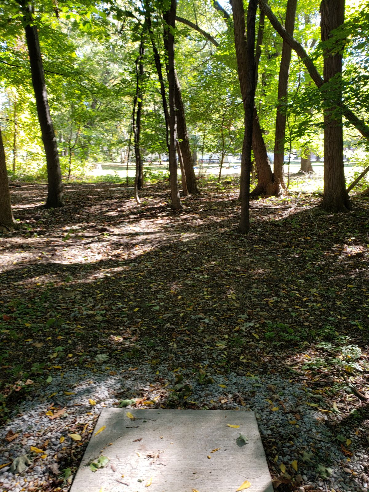 Hole 6