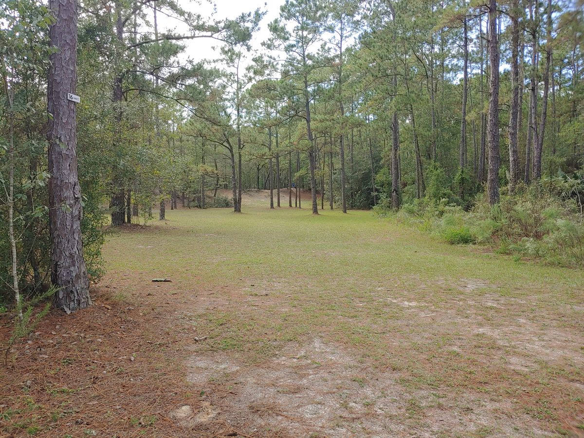 Hole 16 short pad