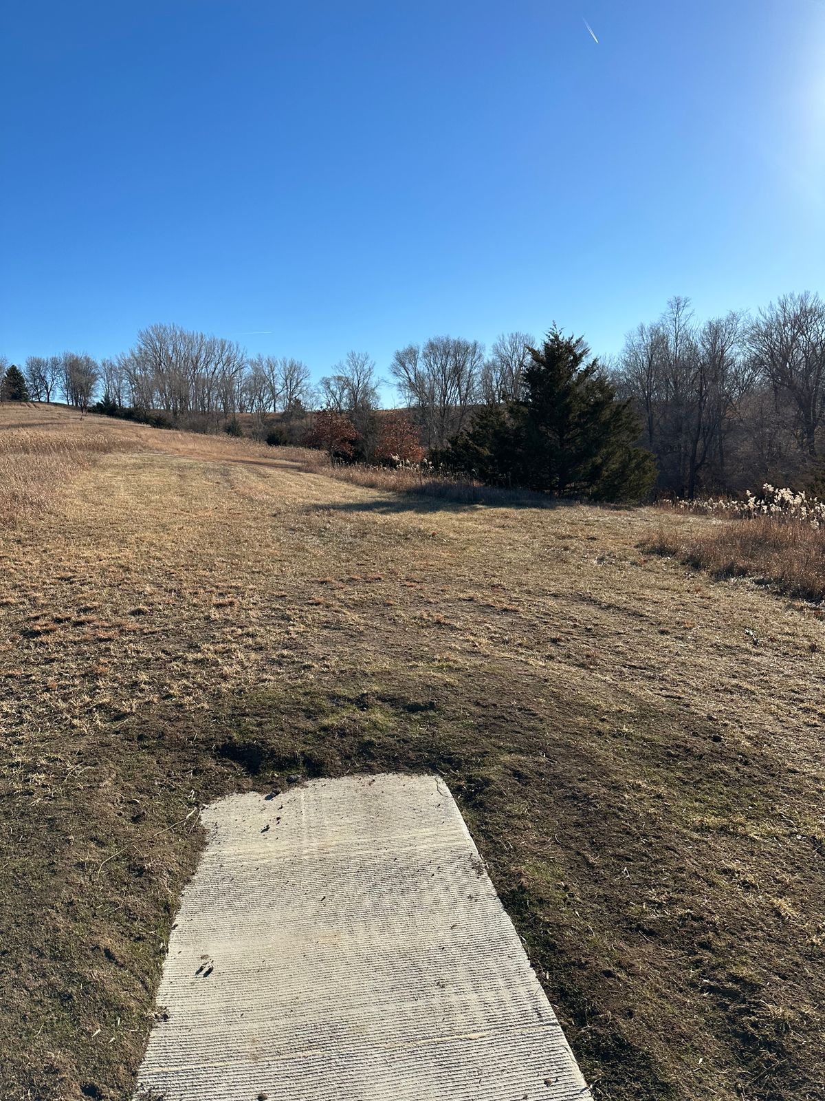 Hole 7 Teepad. Left fairway has a dog-leg right shot shape. Right fairway is a smoother hyzer play.