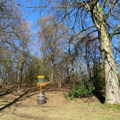 The wee Dram. Hole 8