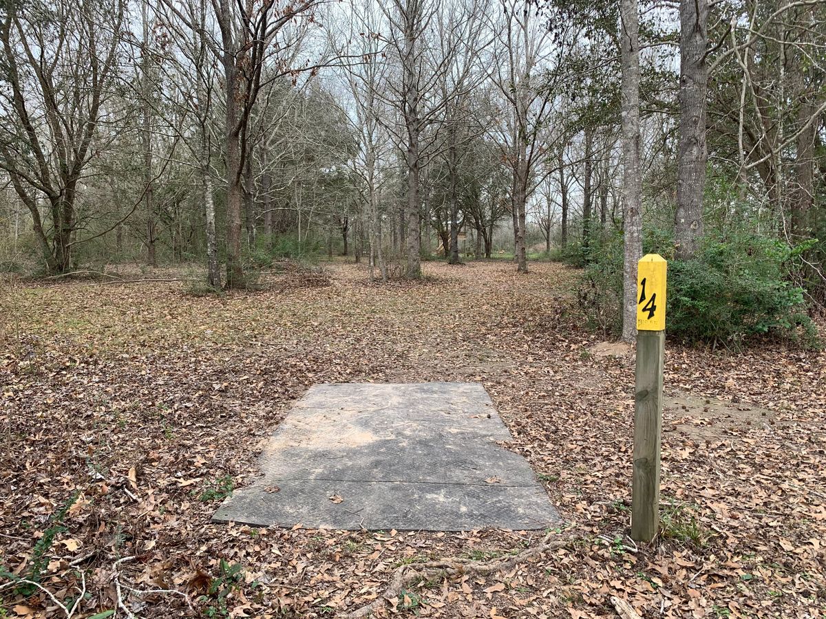 Hole 14 Fairway