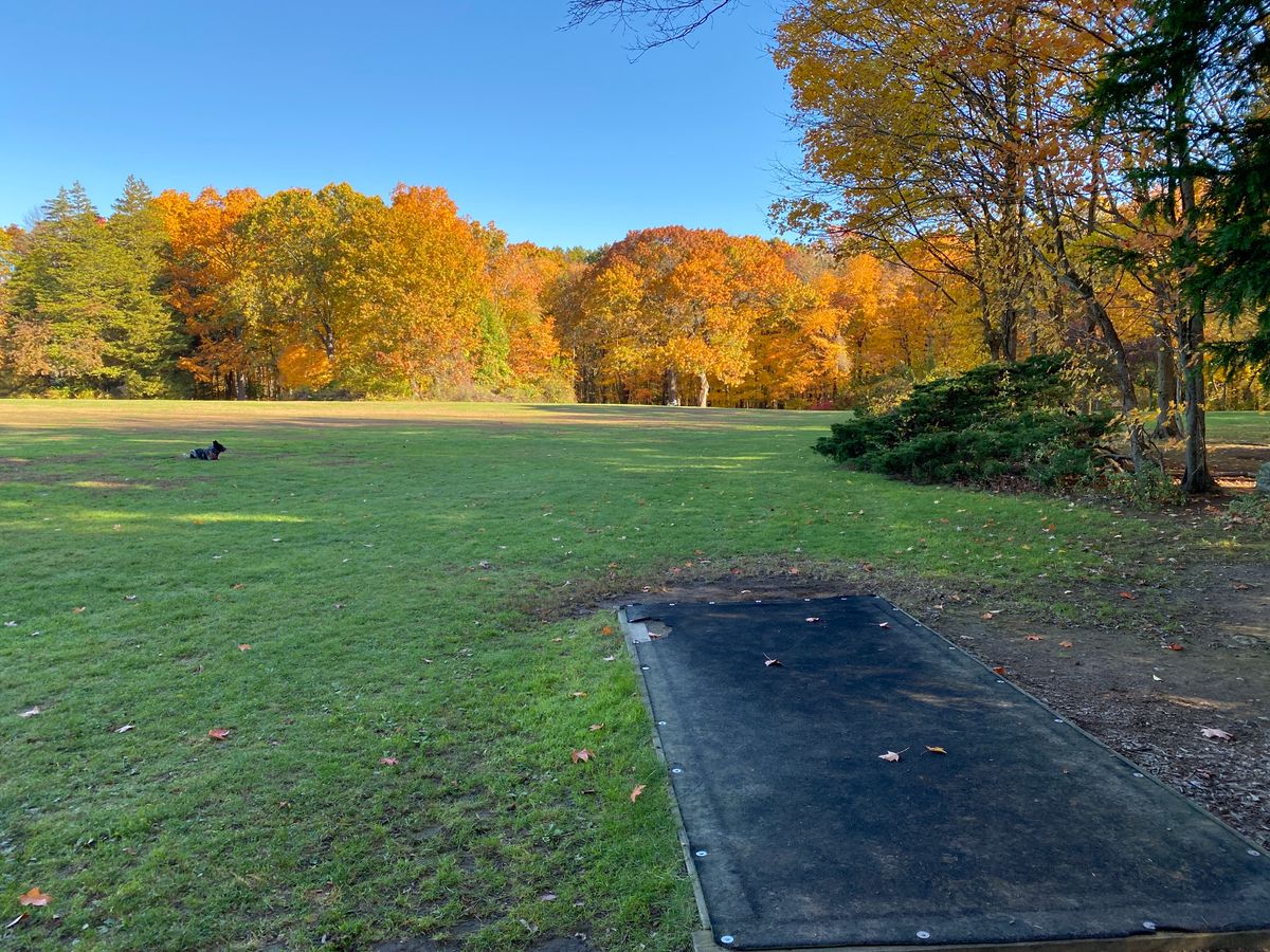 Tee 18