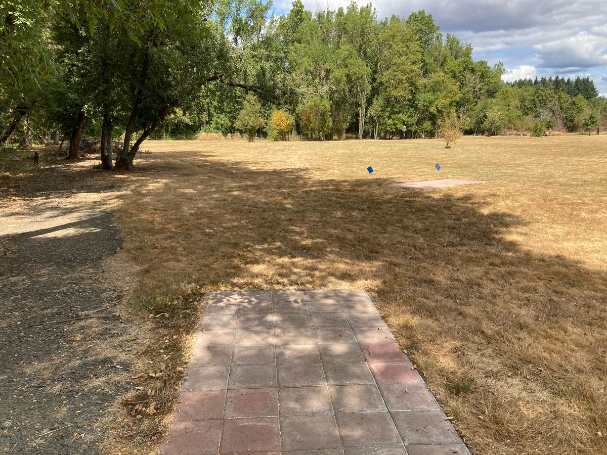 Tee 6