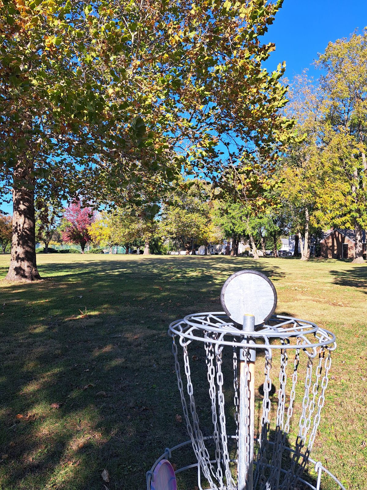 Hole 2 basket looking back at fairway