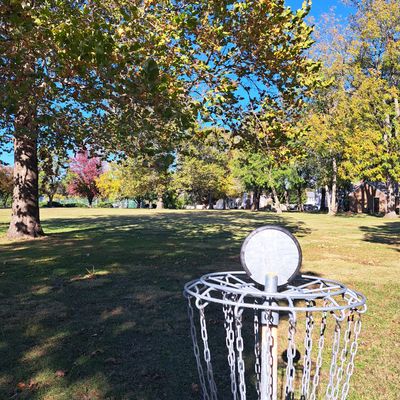 Hole 2 basket looking back at fairway