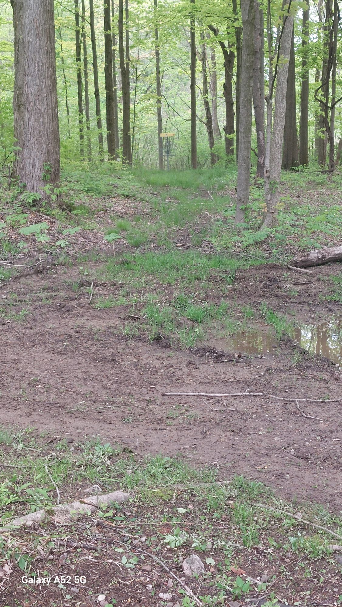 Hole 7