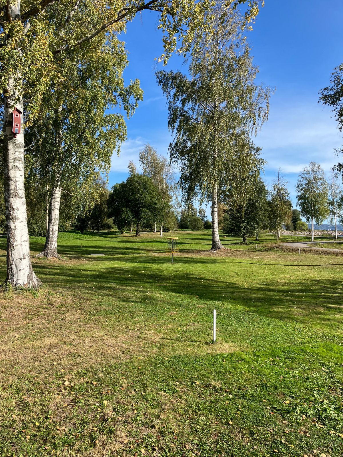 Hål 5, Green