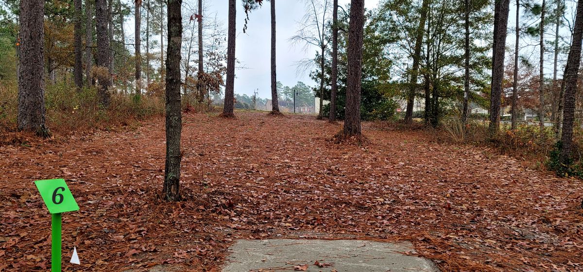 Hole 6