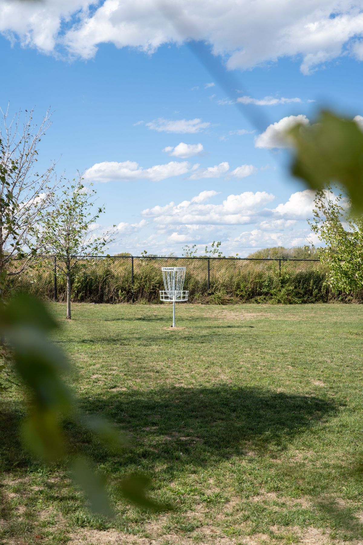 Basket of Hole 6