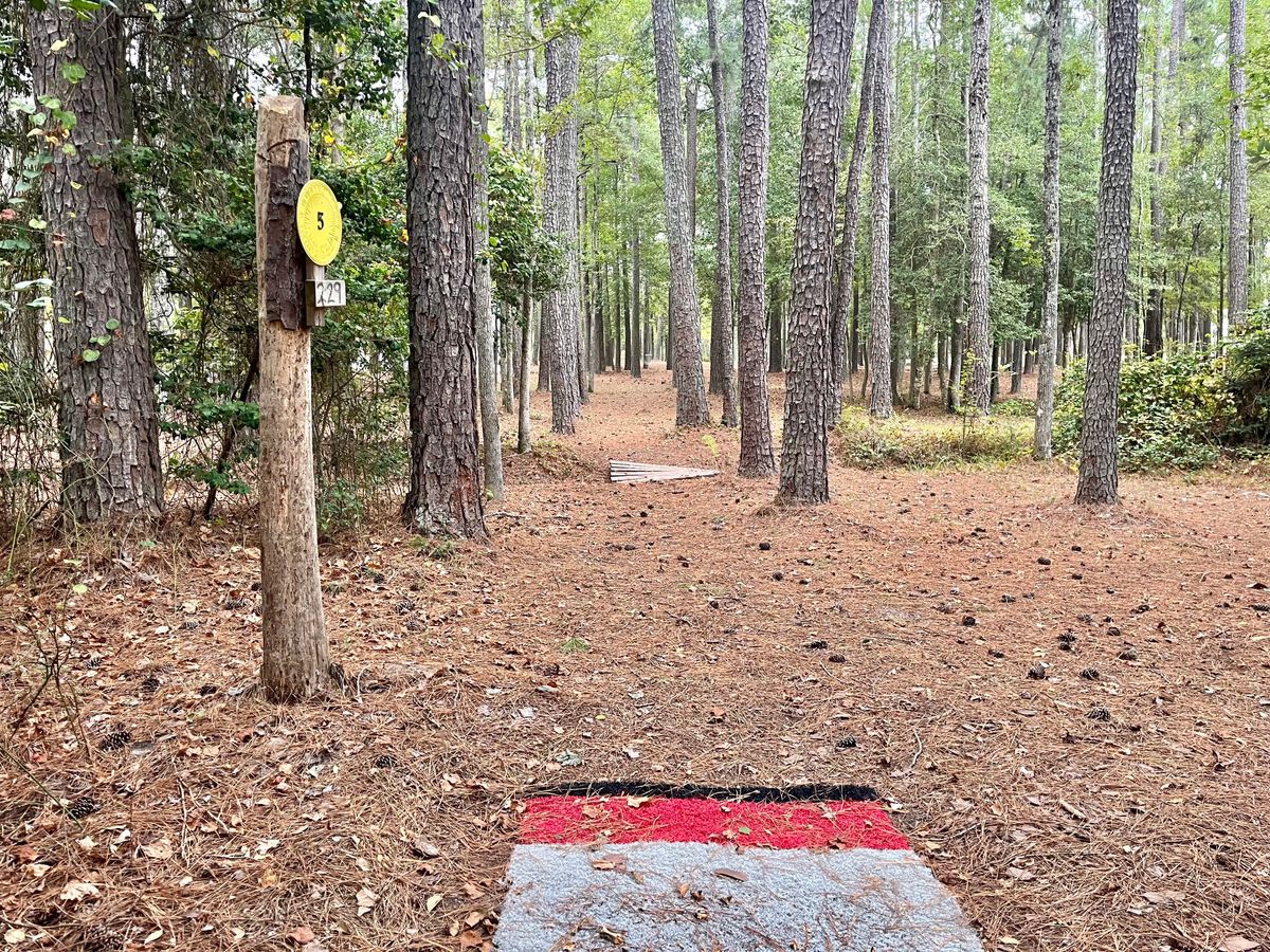 Hole 5 Long Tee